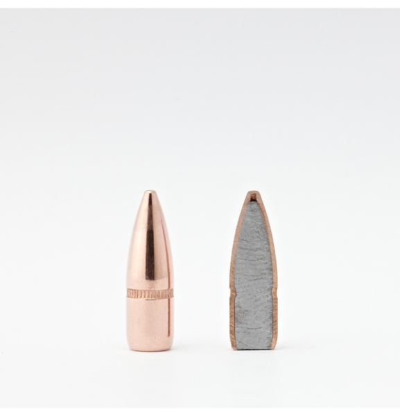 22 Cal .224 55 gr FMJ-BT